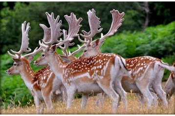 Słowacja Chata Veľké Rovné, Zewnątrz